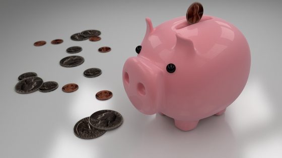 Building Wealth from the Ground Up: A Beginner’s Investing Primer