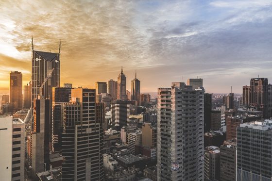 Building a Strong Company Culture: Insights from Successful Business Managers