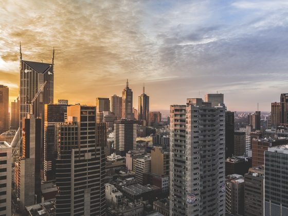 Building a Strong Company Culture: Insights from Successful Business Managers