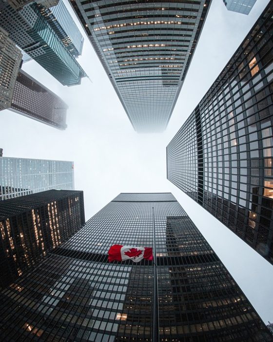From Start-Up to Success: How Digital Tools are Revolutionizing the Business Landscape