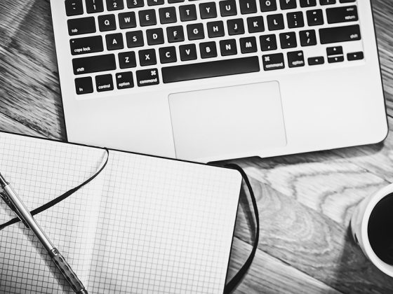 From Surviving to Thriving: Essential Business Tips for Small Businesses