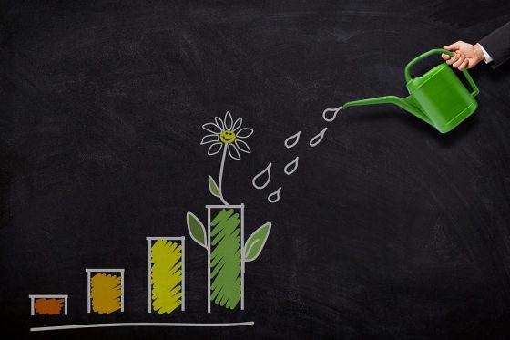 Investing 101: Tips for Growing Your Wealth