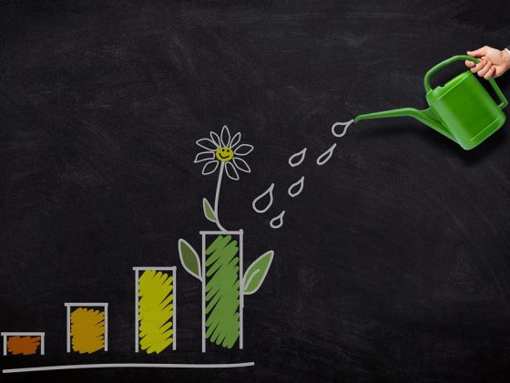 Investing 101: Tips for Growing Your Wealth