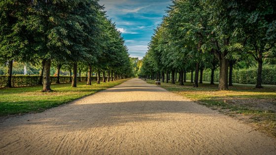 Investing Like a Pro: Tips from Successful Investors
