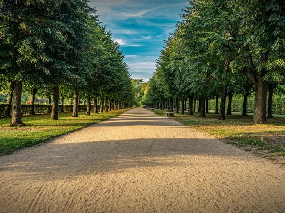 Investing Like a Pro: Tips from Successful Investors