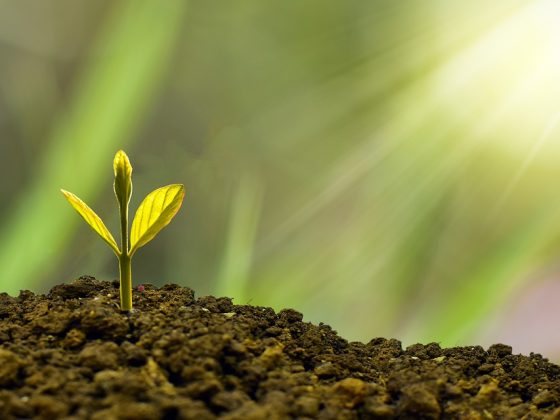 Investing for Retirement: Strategies to Secure Your Financial Future