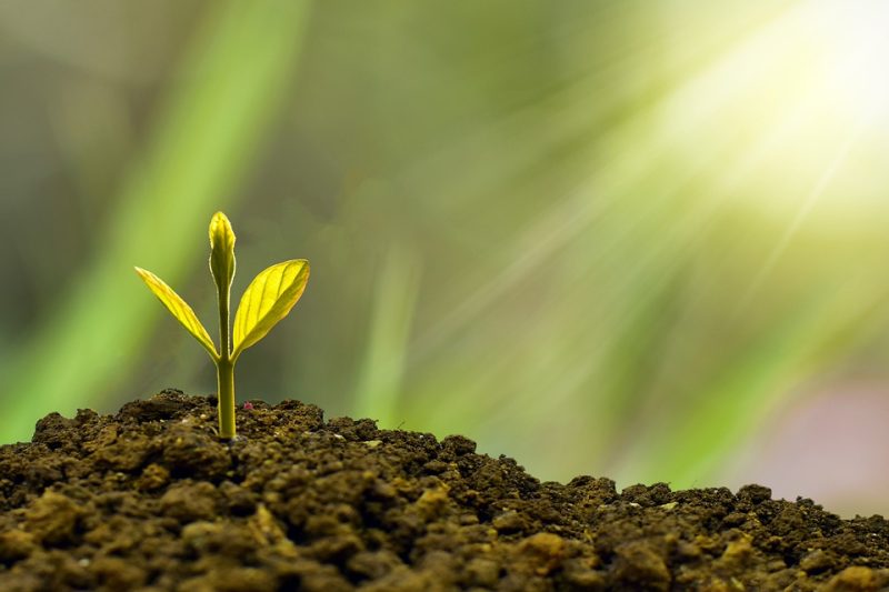 Investing for Retirement: Strategies to Secure Your Financial Future
