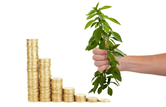 Making Money Work for You: Tips for Effective Investing