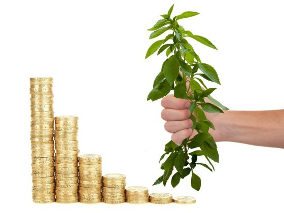 Making Money Work for You: Tips for Effective Investing