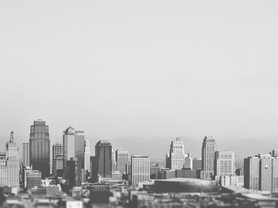 The Top Business Tips Every Startup Needs to Know
